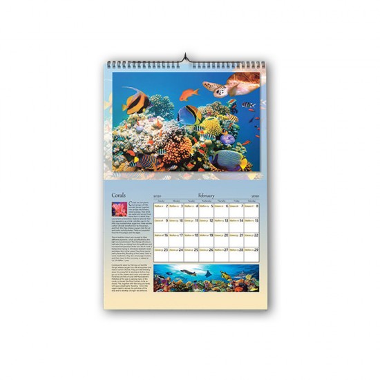 Calendario da tavolo 21x15 - TS Print
